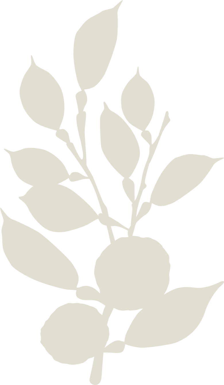 Graphic_ReNue_Plant_Tan